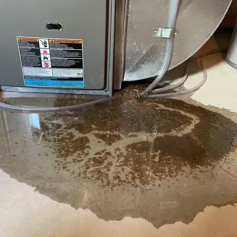 Appliance Leak Cleanup in Platteville, CO